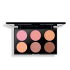 palette BLUSH - 6 COL eyeshadow & blush